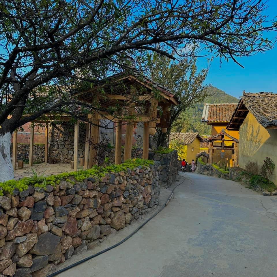 ChaisVillage's tweet photo. The early days of November in Lo Lo Chai village - Ha Giang ⛰️
#CheckinVietnam #CheckinHaGiang #CheckinLoloChai
From Thuỳ Linh check in Việt Nam https://t.co/x4U3U7S878