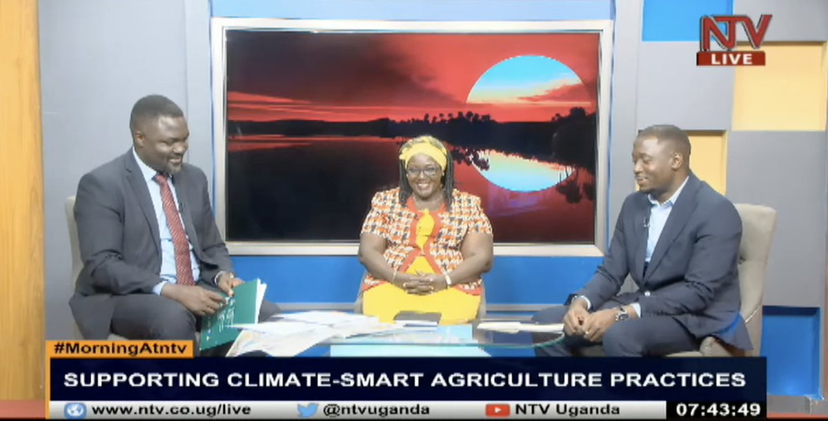 Many of the seeds in Uganda have NARO involved in their development, and it's their responsibility. So, we need to collaborate closely with them before releasing seeds to the farmers. - Consolata Acayo, Assistant Commissiober, MAAIF. #MorningAtNTV