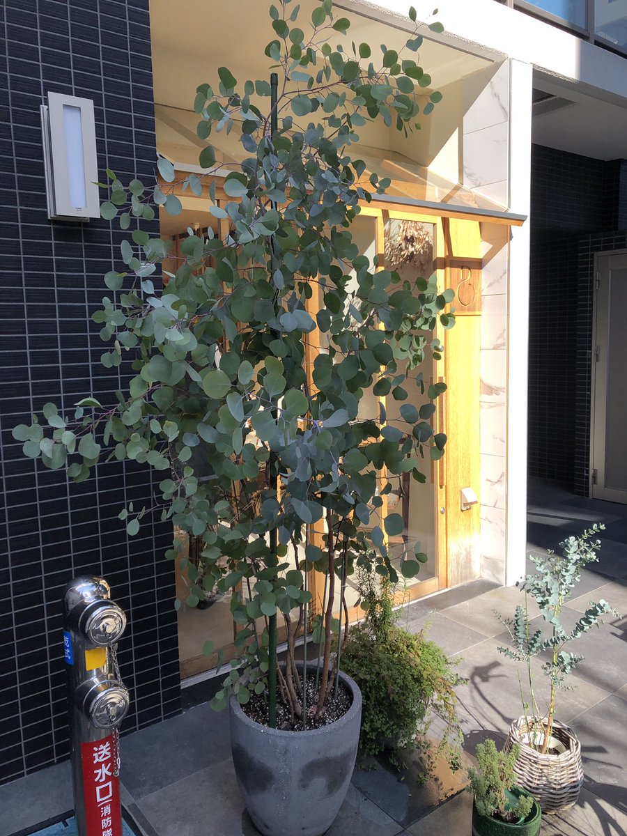 lardcore's tweet photo. 母に頼まれパン屋へおつかい
めちゃくちゃ美味しかったそうな
#Bondir https://t.co/mUZOU8NpkE https://t.co/MTTLqCqmNZ