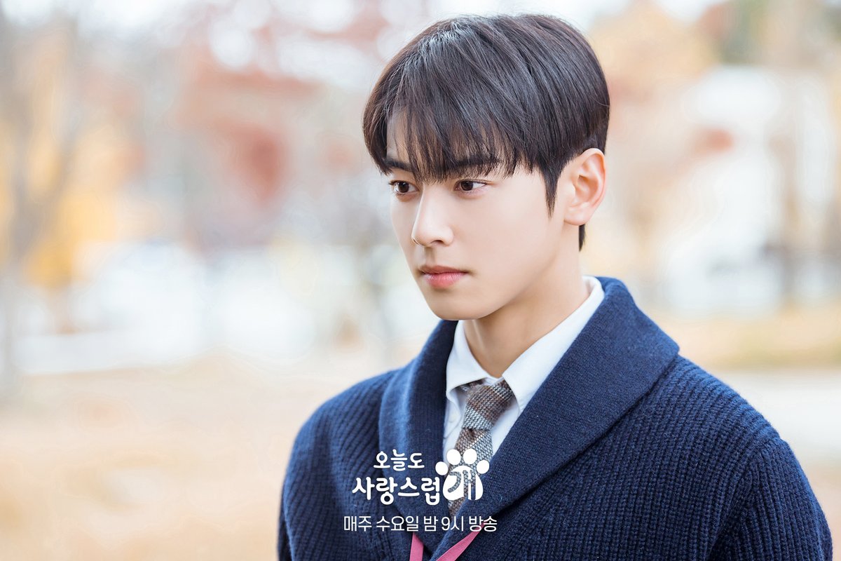 mbcdrama_pre's tweet photo. 오사개즈 비하인드 모음 대방출💥 서원 𝐙𝐈𝐏.💌
겉차속따 서원쌤과 함께라면 춥지 않음(๑♡ᴗ♡๑)❤

댕며드는 예측불허 판타지 로맨스 드라마
#오늘도사랑스럽개 매주 수요일 밤 9시 방송🐶

#mbcdrama #MBC수요드라마 #MBC
#오사개 #AGoodDaytobeaDog
#차은우 #박규영 #이현우 https://t.co/rQyUJcE2K3