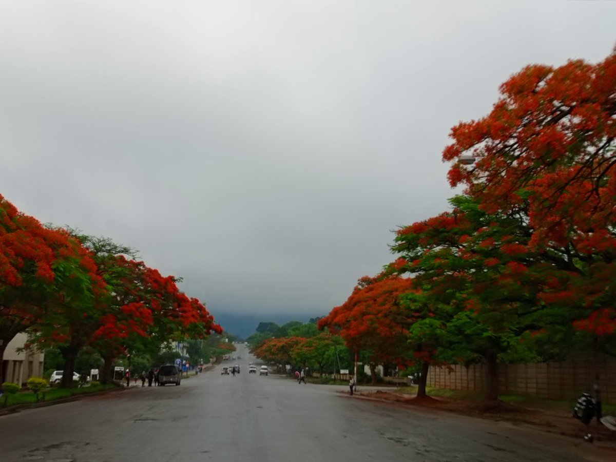 Rashid Salimu tweet media