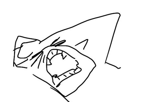 kuura 🇫🇮 tweet media