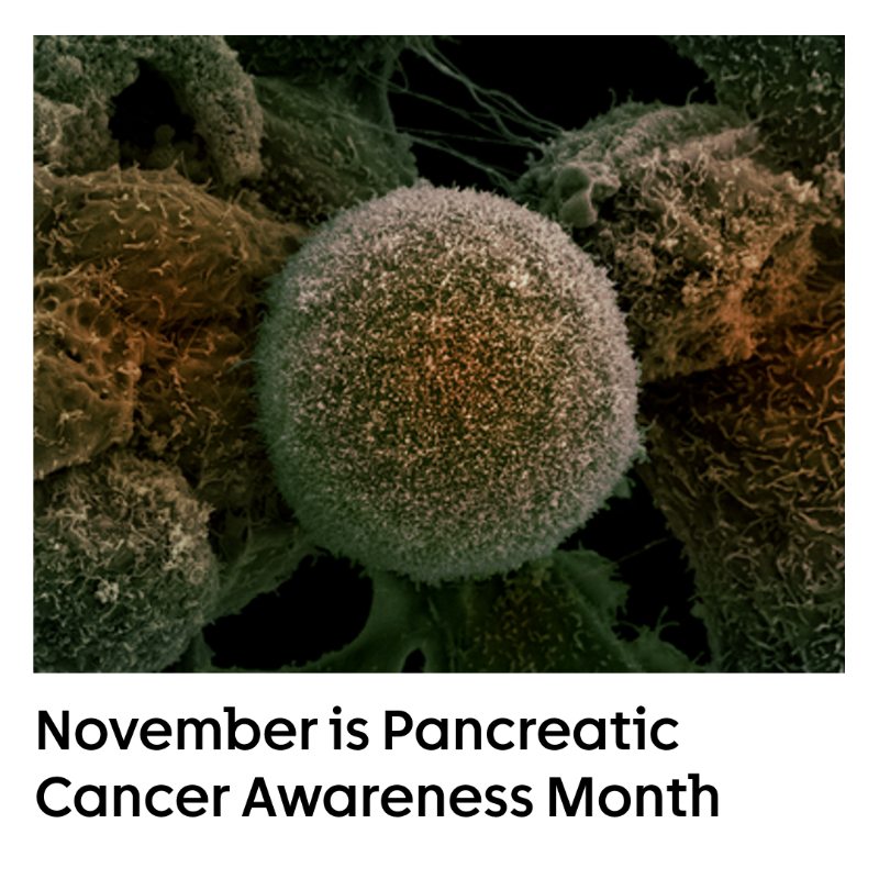 CR_UK's tweet photo. We want to talk about #PancreaticCancer. 

Find information on symptoms, tests to find out if your symptoms are cancer and its treatment on our website 👇

Share this post and help raise awareness this #PancreaticCancerAwarenessMonth 🔁

Image credit: LRI EM Unit