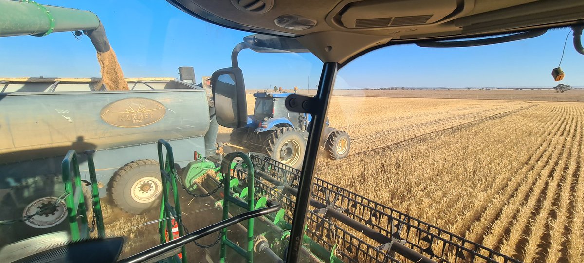 🌾WA Grain growers🌾 

As I sit here listening to podcasts and pondering whether tonight might be the first time I turn the lights on (hard no), I'm feeling a bit disconnected from the rest of the WA harvest. 

So, how's harvest going in your little piece of paradise?👇