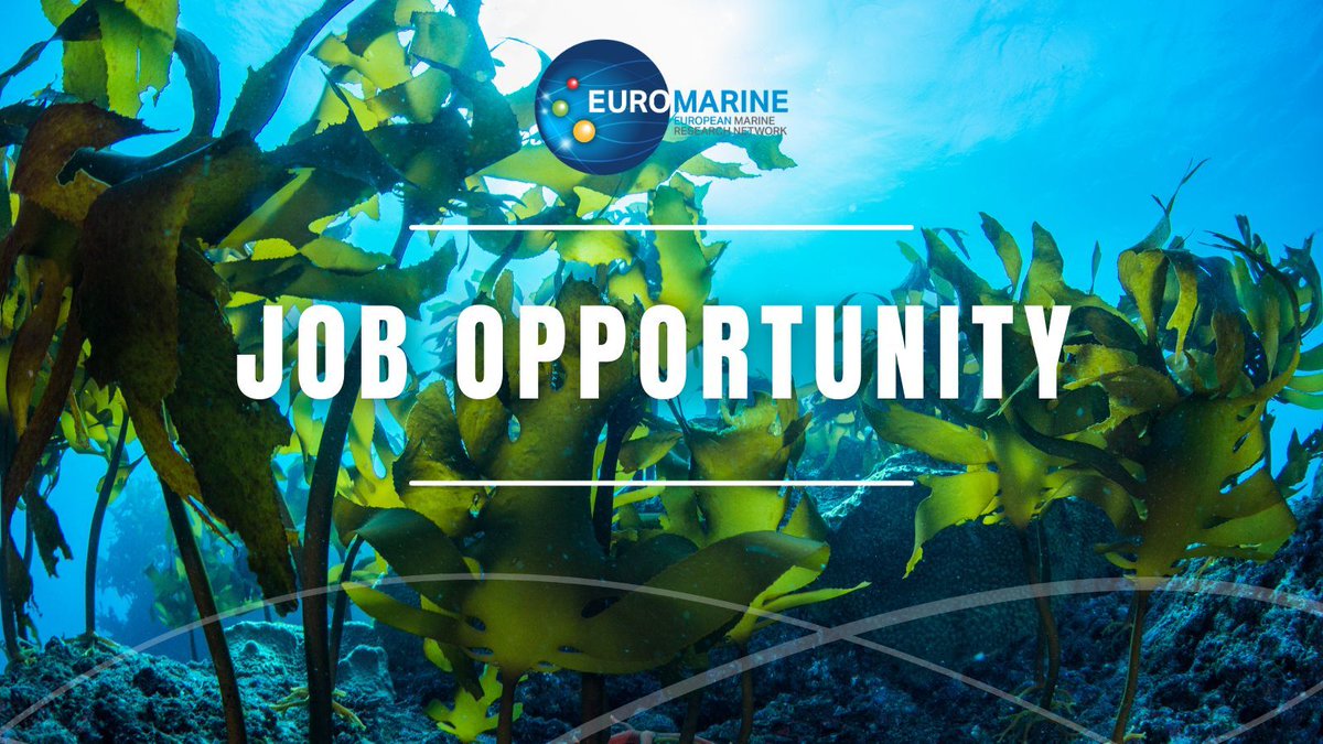 EuroMarine (@euromarine_tw) on Twitter photo 📣 🌿 Calling all #ECRs! Exciting Postdoc Opportunity in Seaweed Ecology! Join <a href="/Havforskningen/">Havforskningsinstituttet</a> at the Institute of Marine Research for a 3-year position exploring climate impacts on Norway's kelp forests. 🗓️ Apply by Nov 10, 2023👇
buff.ly/3SrgIu9
#SeaweedEcology 📣 🌿 Calling all #ECRs! Exciting Postdoc Opportunity in Seaweed Ecology! Join <a href="/Havforskningen/">Havforskningsinstituttet</a> at the Institute of Marine Research for a 3-year position exploring climate impacts on Norway's kelp forests. 🗓️ Apply by Nov 10, 2023👇
buff.ly/3SrgIu9
#SeaweedEcology