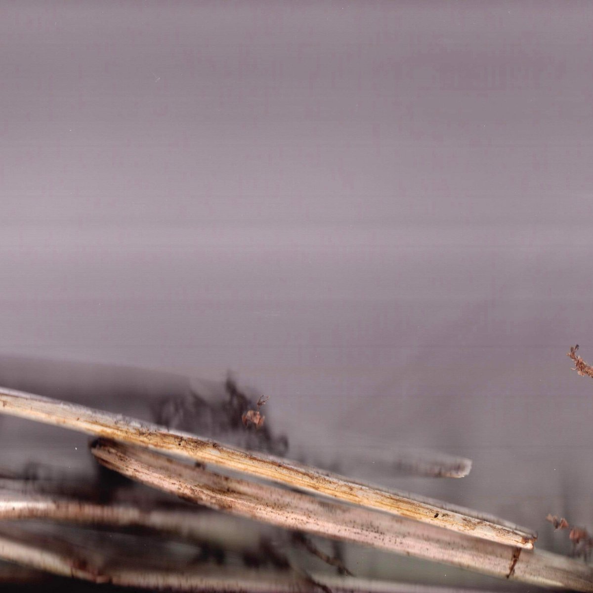 Aire Place Studios tweet media