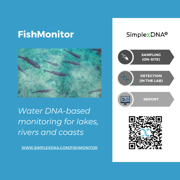 SimplexDNA 🧬🌍 tweet media