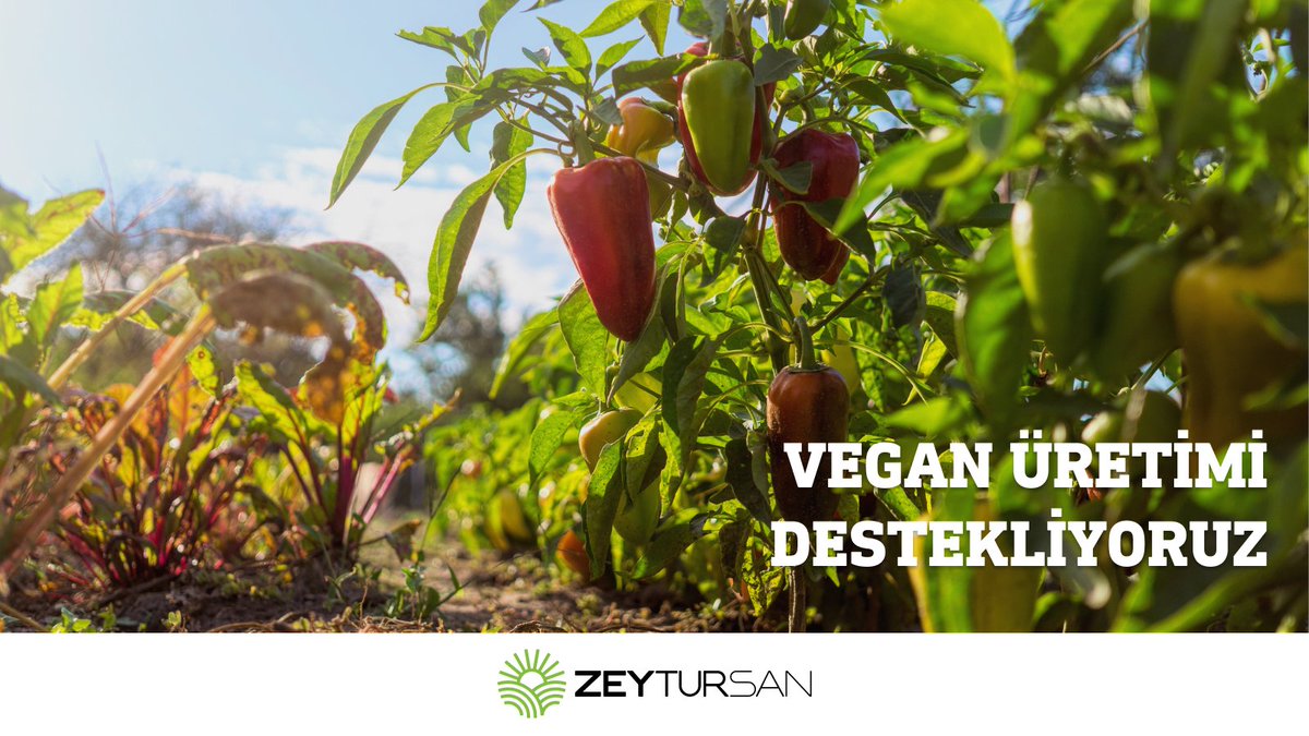 We produce our products according to vegan standards. While acting with the responsibility of an environmentally friendly and animal-friendly approach, we protect our natural resources and sow hope for the future.

#Zeytursan #VeganProducts

•••

Ürünlerimizi vegan