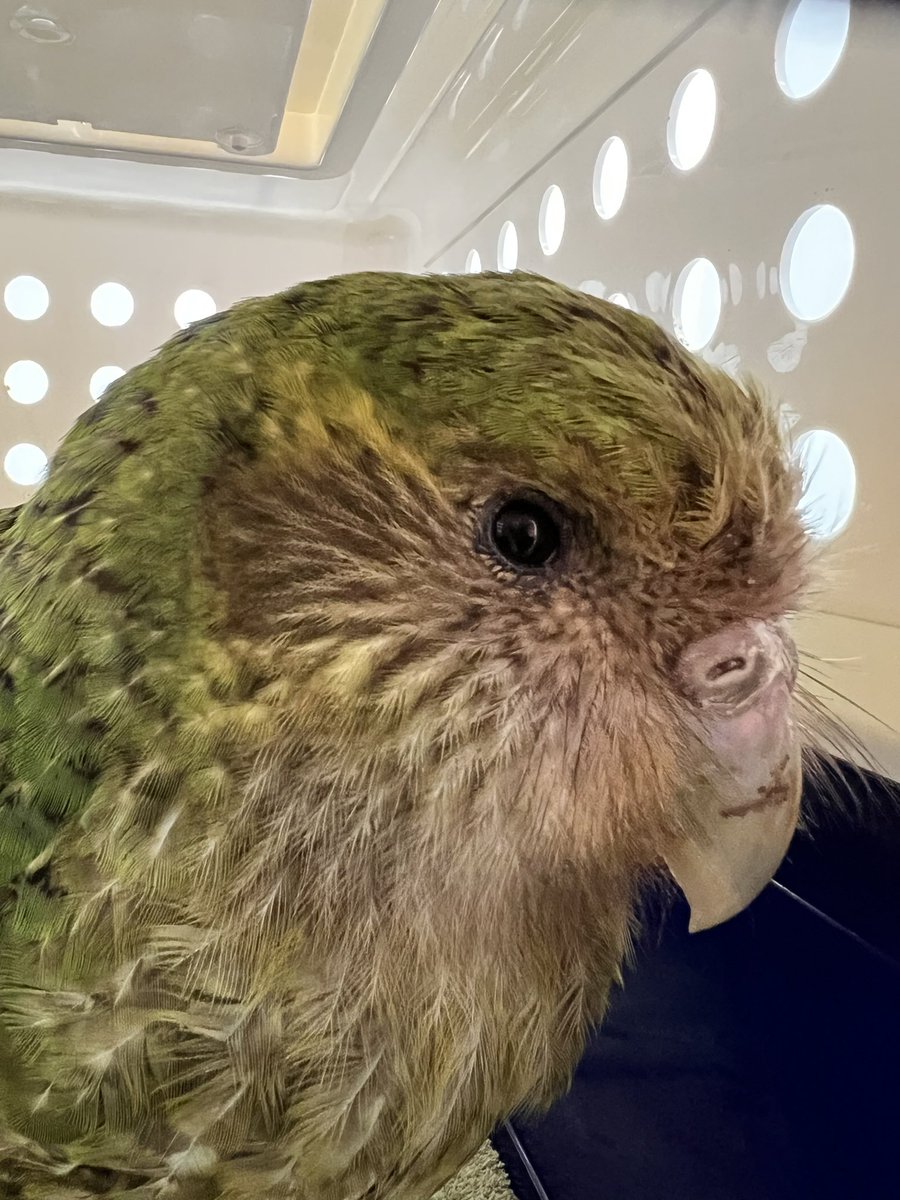 Dr Andrew Digby tweet media