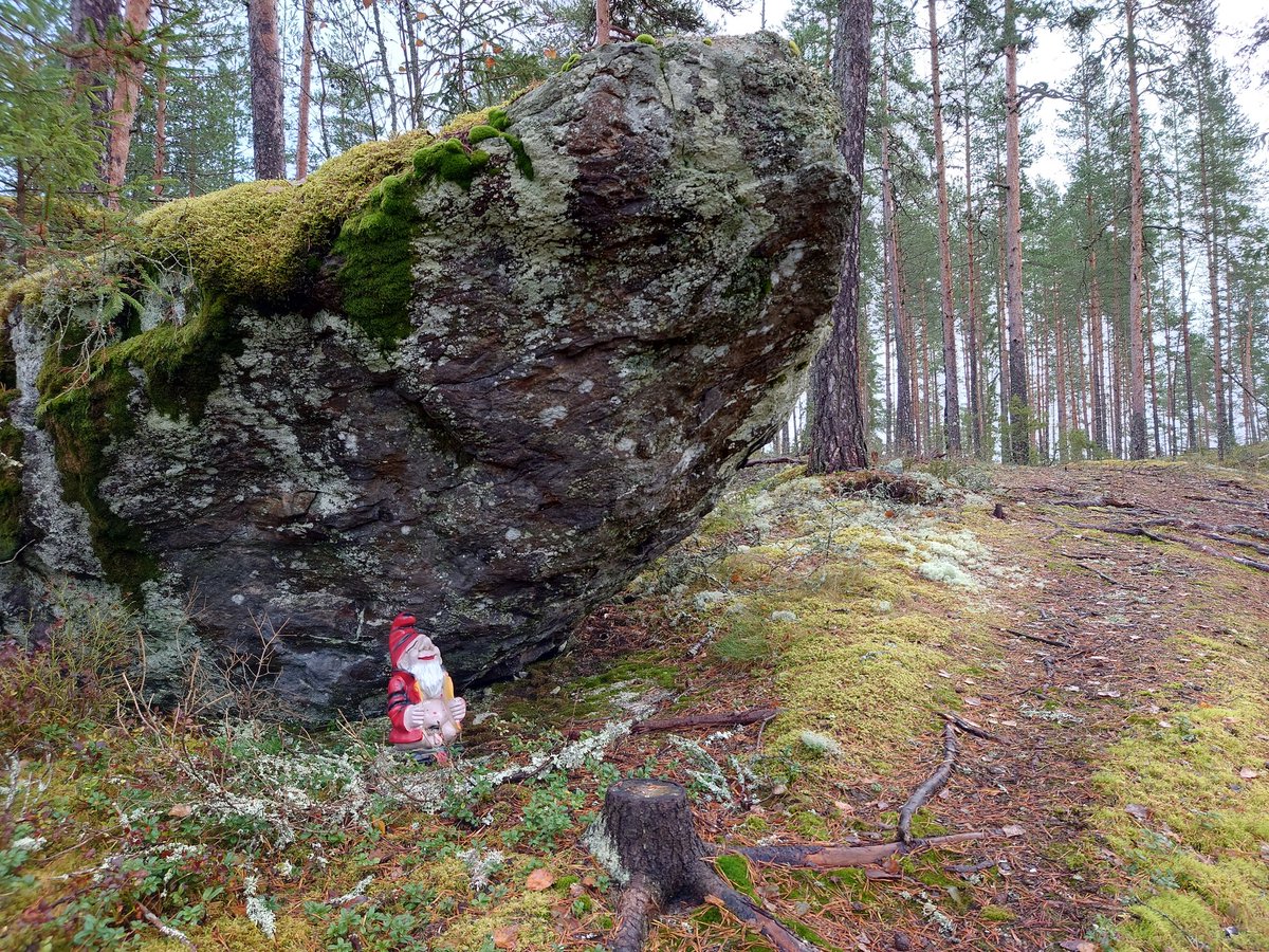 Sirklä se oli vielä tuttu pervo metsässä tänäkin vuonna