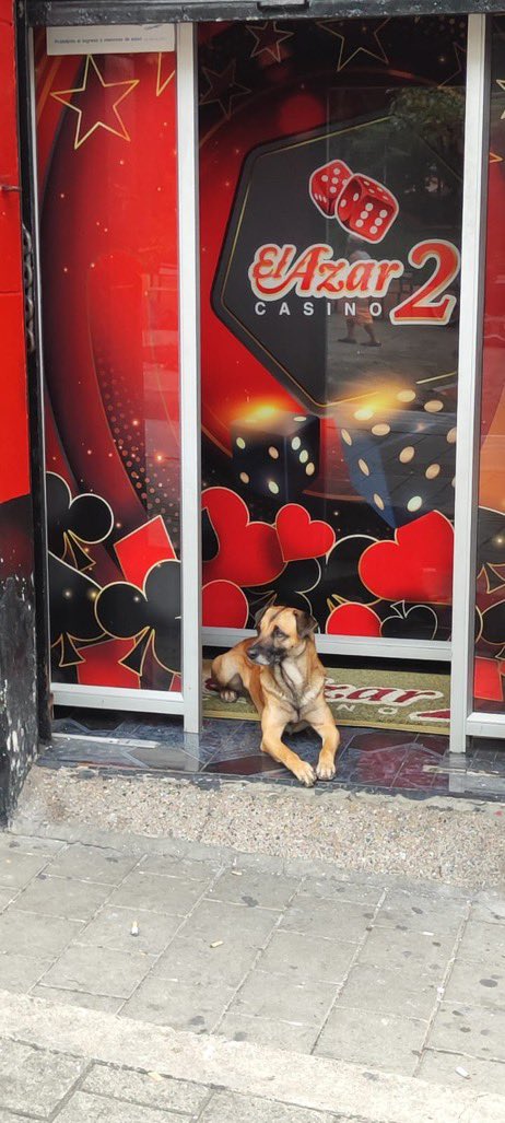 os presento a lucky, el guardian de la fortuna