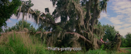 TheCinesthetic's tweet photo. The Florida Project (2017) dir. Sean Baker https://t.co/d0JiVNFPCb