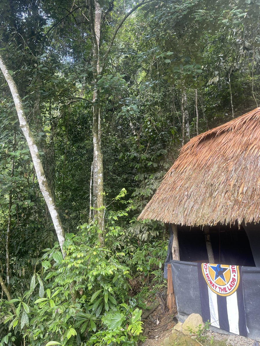 rossyg78's tweet photo. Have you ever seen a mackem in the jungle ? https://t.co/EYk61ZGqjP