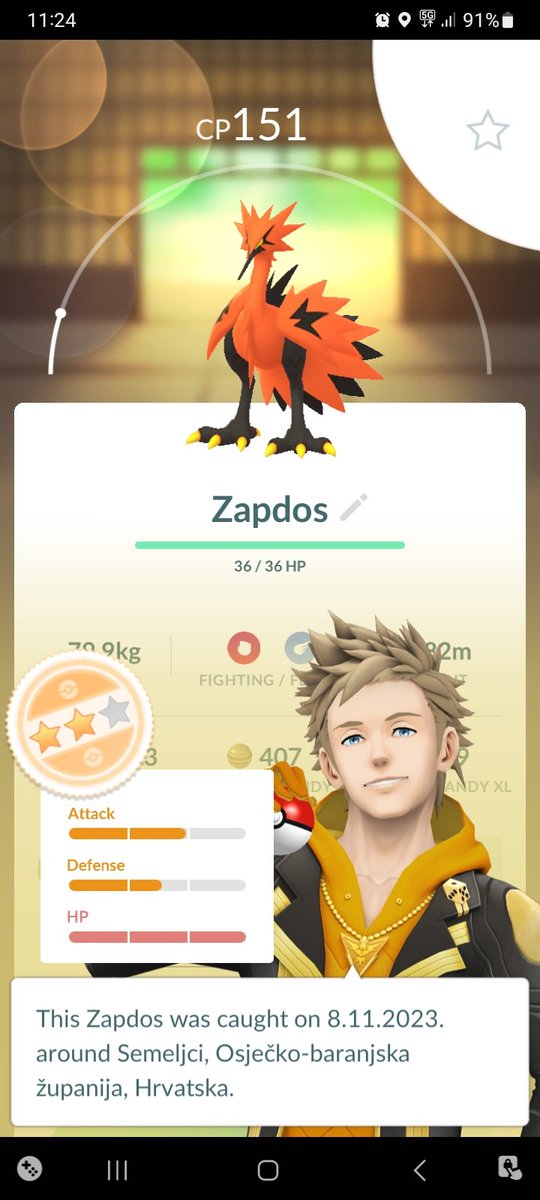 My number one galarian bird