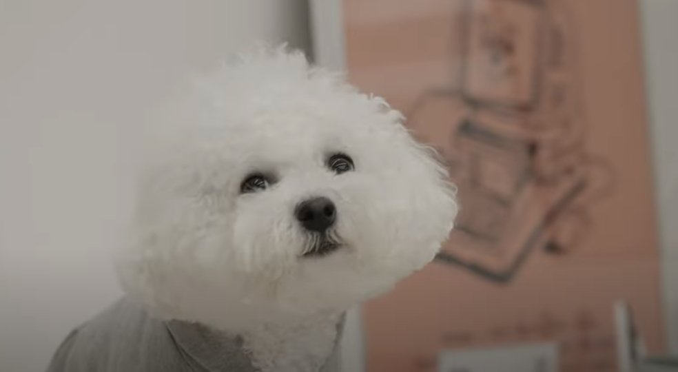 Guess when the cute boss shows up in the video. What minute and second🧐?
youtube.com/watch?v=TVH1Gl…