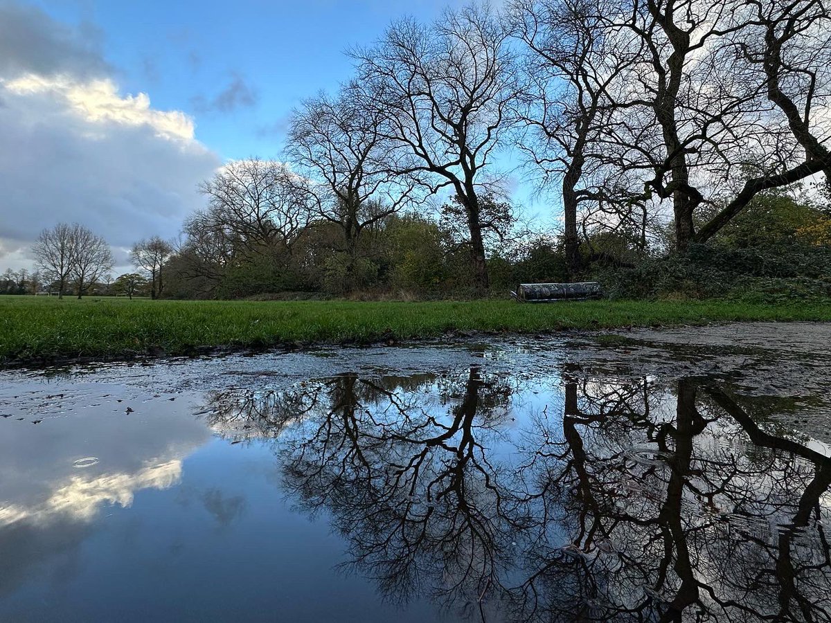 Flooded areas of <a href="/Longford_Park/">Longford Park</a> making for some lovely reflections of Enriqueta Ryelands trees at the boundary with <a href="/ryebankfields/">Save RyeBank Fields 🍃💚🍃</a> 
#365dayswild #wellbeing #nature #therapy #outdoors #mindfulness #naturephotography #weather #therapistsconnect #selfcare #mentalhealth