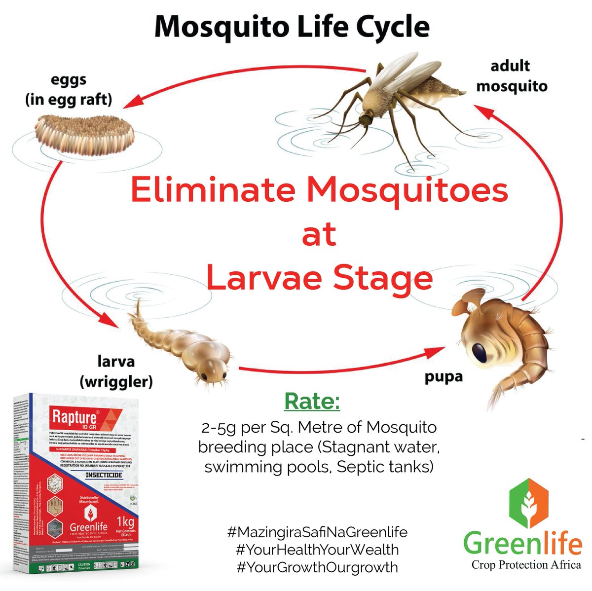 Get Rid of Stagnant Water Today!! Use Rapture 10 GR to treat all stagnant water and eliminate mosquitoes at Larvae stage Call us free 0800721495 to get it now. #MazingiraSafiNaGreenlife #YourGrowthOurGrowth