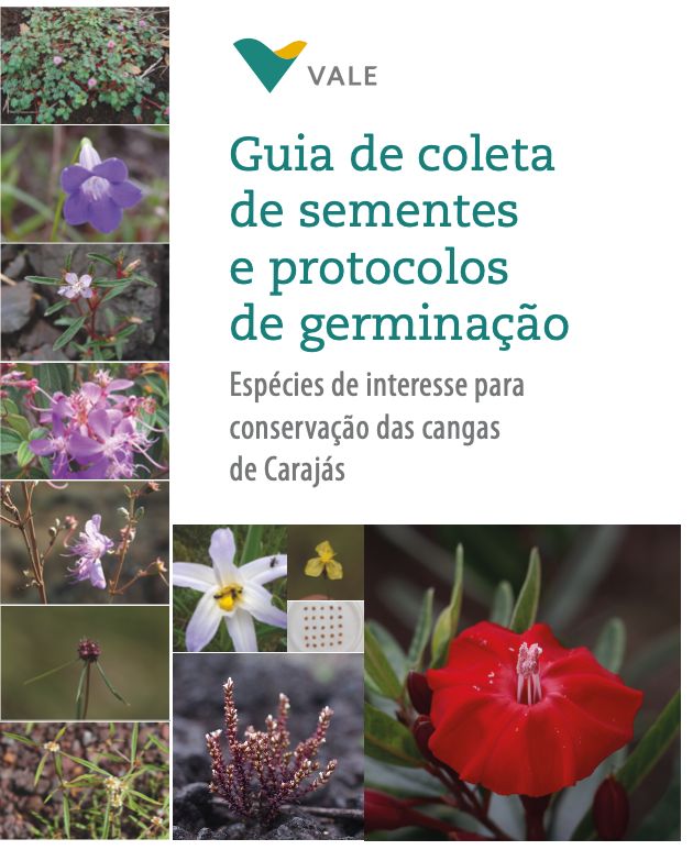 #NovoLivro: Guia de coleta de sementes e protocolos de germinação: espécies de interesse para conservação das cangas de Carajás @valenobrasil buff.ly/40rsaI1 Uma publicação liderada por Fernando Santos –doutorando no CSEC– com a participação de @FernandoAOSilv2 🌱 🌰