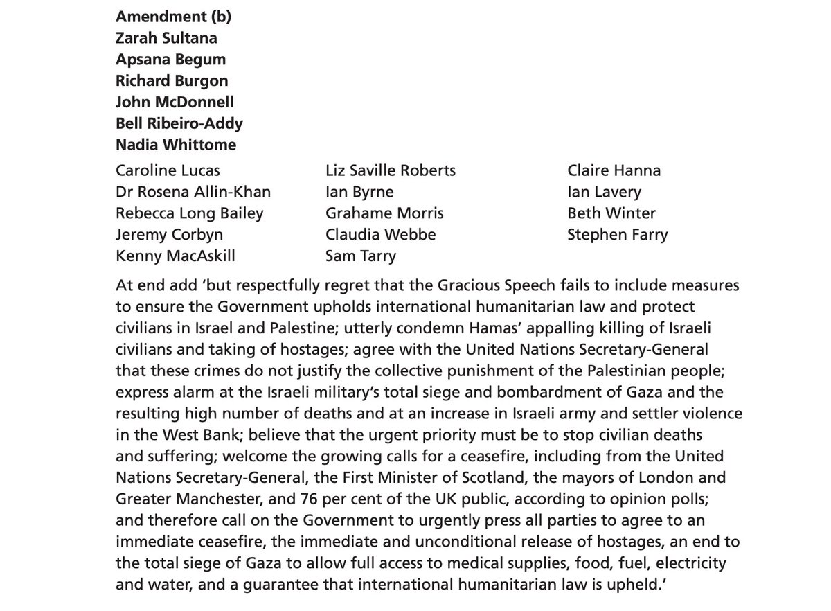 Every day Israel’s assault on Gaza continues, more innocent Palestinians will be brutally killed. So long as our government rejects a ceasefire, it is complicit in this slaughter. I have tabled this amendment to the King's Speech, calling on the government to back a ceasefire: