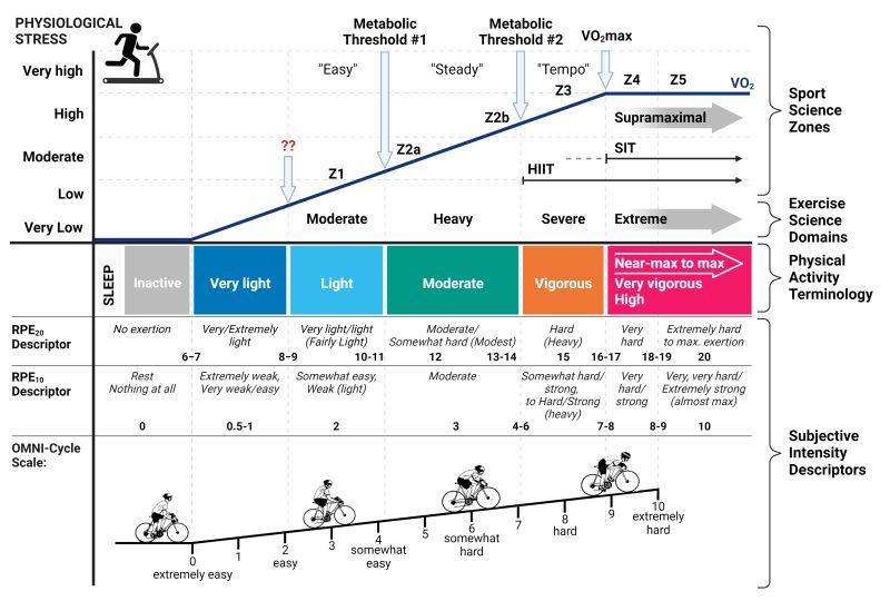 Según <a href="/BlueSpotScience/">David Bishop (🦋 also bluespotscience.bsky.social)</a> La terminología de la intensidad del ejercicio es un poco desordenada y proponen un  intento de tratar de resumir algunos de los diferentes enfoques.