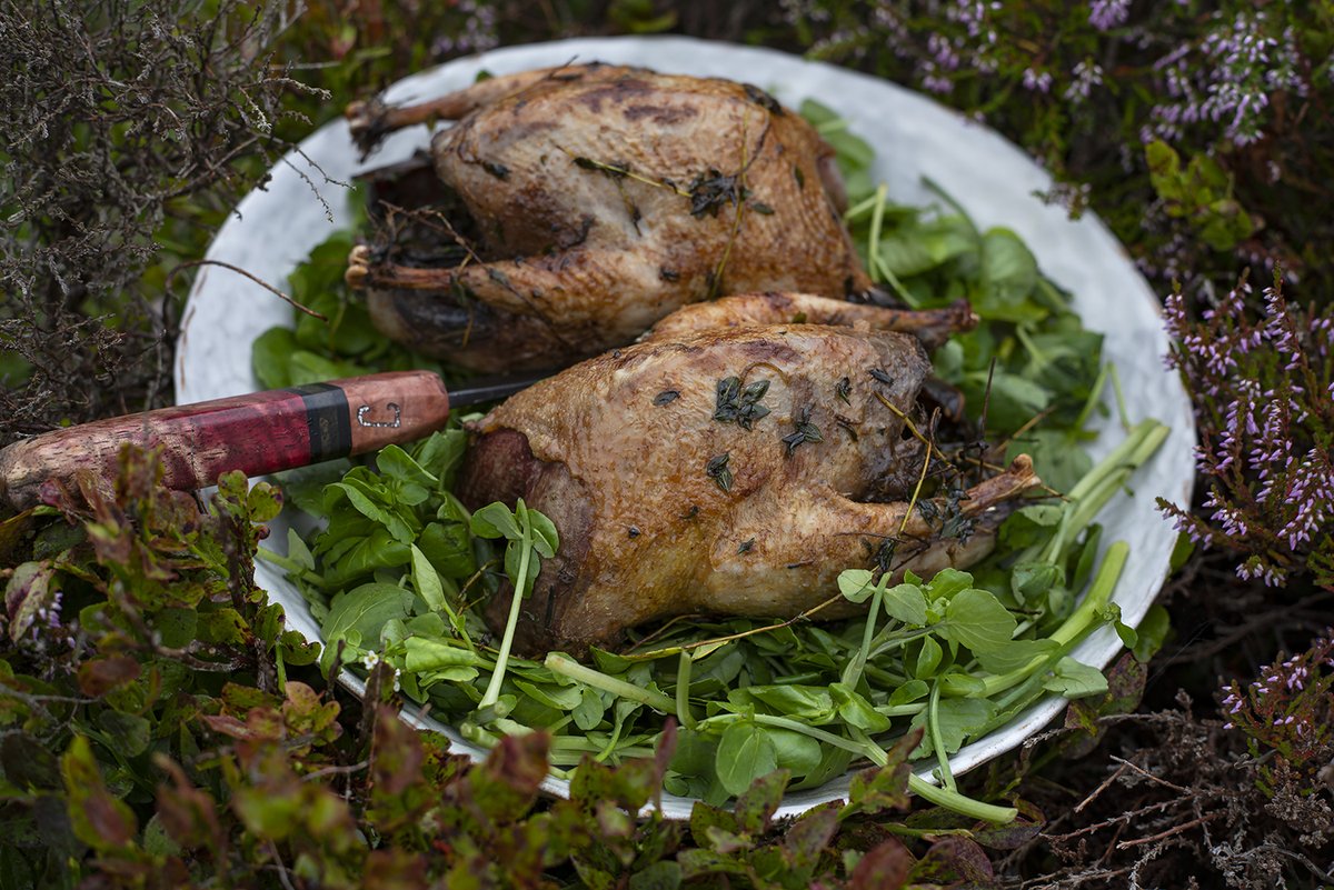 MoorlandAssoc's tweet image. Did you know only one grouse is harvested from an acre of moor – in a really good breeding season? Grouse is fresh, seasonal and sustainable #eatgame #eatwild #eatlocal #ourmoors #greatbritishgameweek
