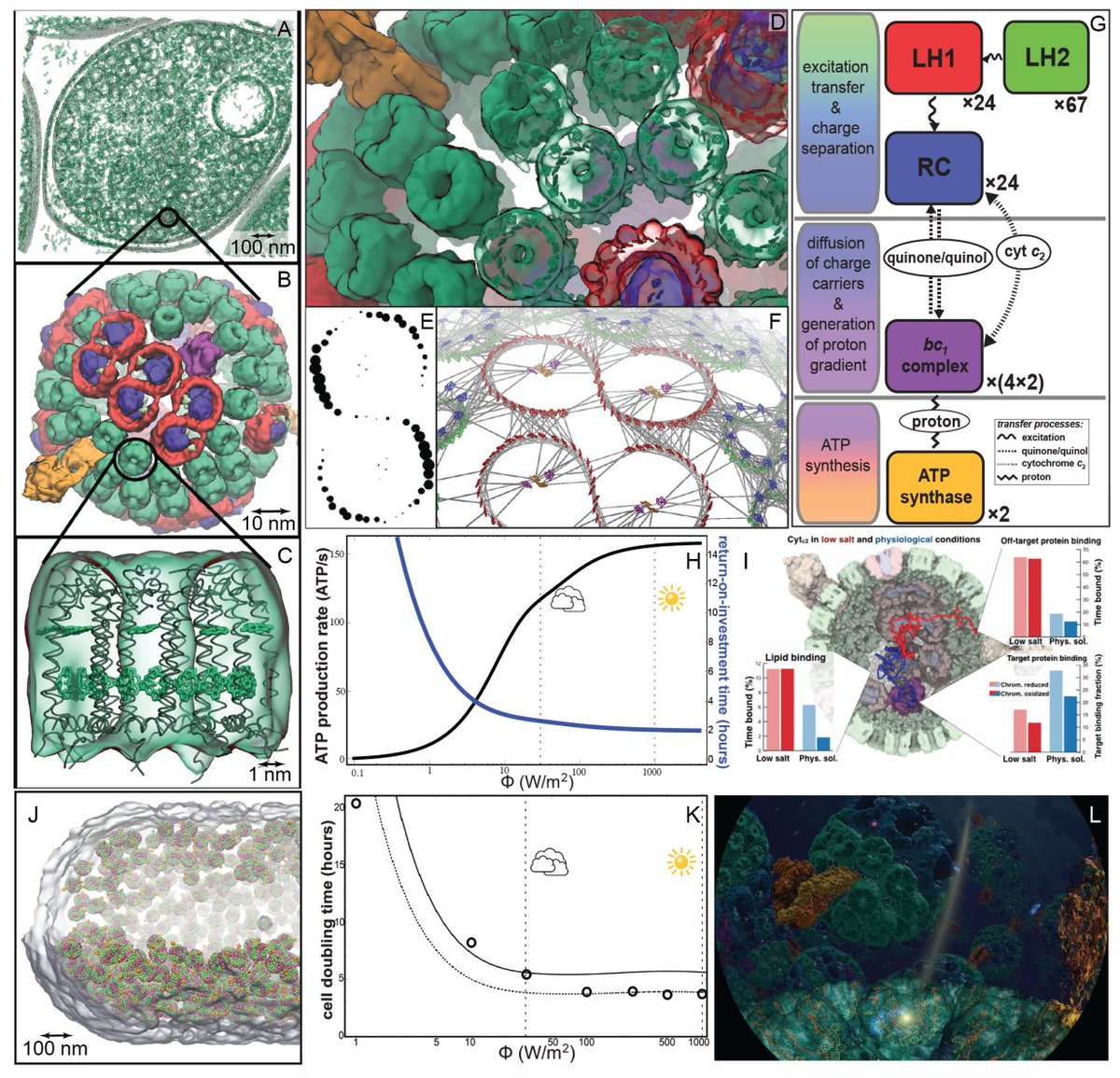 Invited perspective covering  2 decades of #compchem &amp; #Bioenergetics #Photosynthesis by
1st yr grads  @AdamPirnia + <a href="/farid_ranel/">Ranel Maqdisi</a>, 
guided by <a href="/sumit15_/">Sumit</a>  &amp;  ever-green #MelihSener  

We hope it'll be a good intro material. 
Check out the *Final Table* 
 
chemrxiv.org/engage/chemrxi…