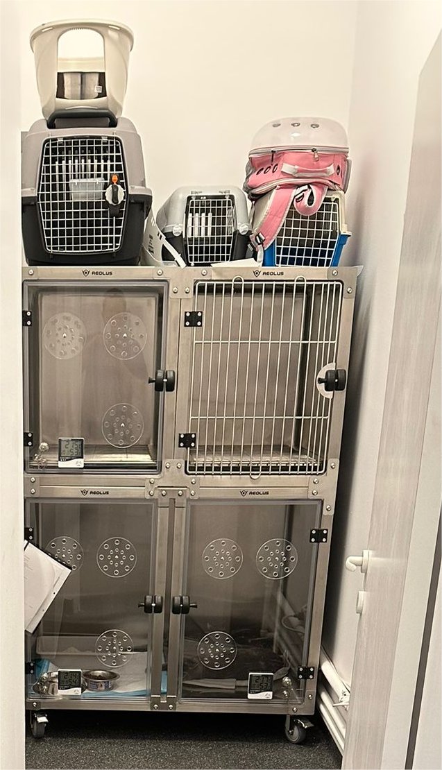 KANISTAR430080's tweet image. 🤝Customer feedback series
Veterinary Therapy Cage Oxygen Pet Breeding Cage Dog Kennel Stainless Steel Cages.
#pet #animalcage #forpets #stainlesssteelpetcarrier