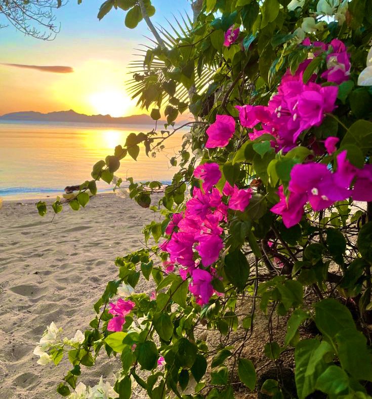 اللهّم دبّر ما نجهله ، ويسّر ما نأمله ، وقرّب ما نرقبه ، وهب لنا نورًا يملؤنا ، وتولّنا ياربّ فيمن توليت 🤍