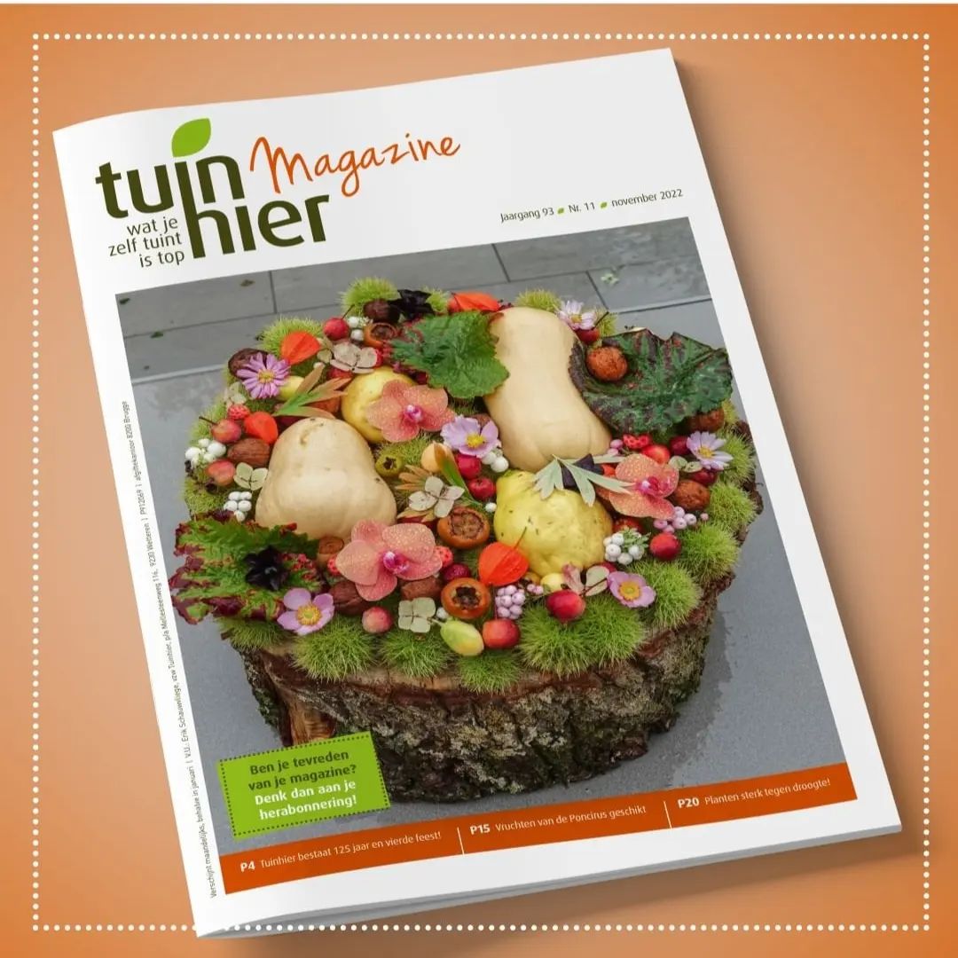 Tuinmagazine van Tuinhier vzw dat maandelijks in uw brievenbus komt. 
Nog geen lid van Tuinhier vzw? Schrijf je hier dan in: tuinhier.be/page?page=word…