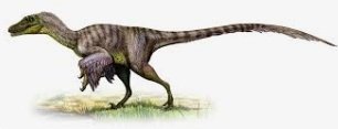 socuncolom's tweet photo. @badenric Yo twiteo velociraptor... Oh mierda me has ganado, bien jugado Enric https://t.co/Rmbt4kdvWW