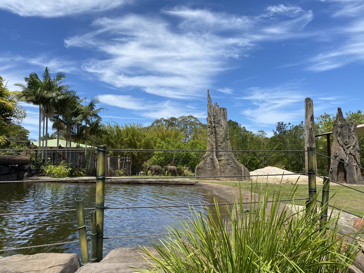 Arrived at Brisbane this morning and spent the day at Australia Zoo with a pre-booked koala experience as a bonus 😎