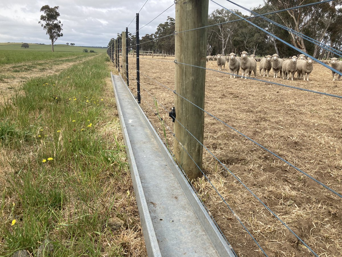 Does anybody out there have idea of how to retrofit a standard 8 wire fence to allow lambs to access feed trough? I was thinking extra droppers, larger spacing between 2 &amp; 3rd wire?