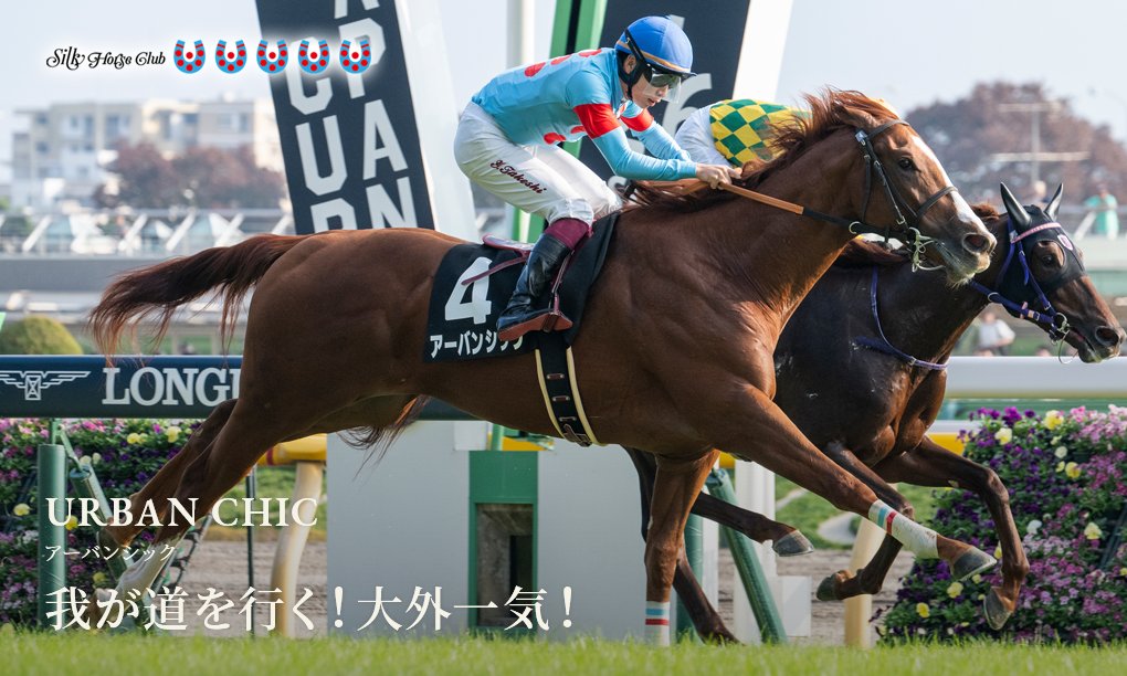 競馬　ポスター　アーバンシック 勝ち馬キャッチコピー】11/5(日)の百日草特別で見事勝利を収めた