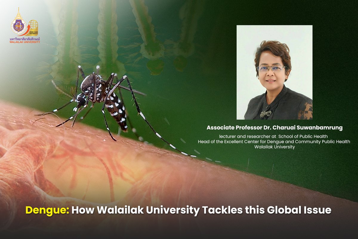 Dengue: How Walailak University Tackles this Global Issue wu.ac.th/en/knowledge/d… #Dengue #research #WalailakUniversity