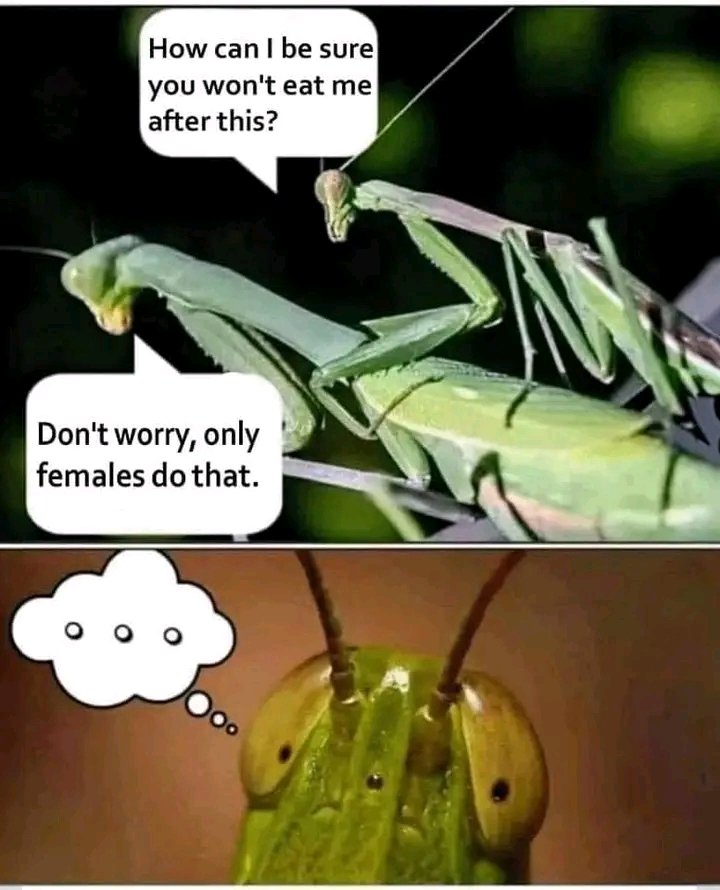 B_CliQ's tweet photo. @ShitpostGate https://t.co/gQy2JtTHwv