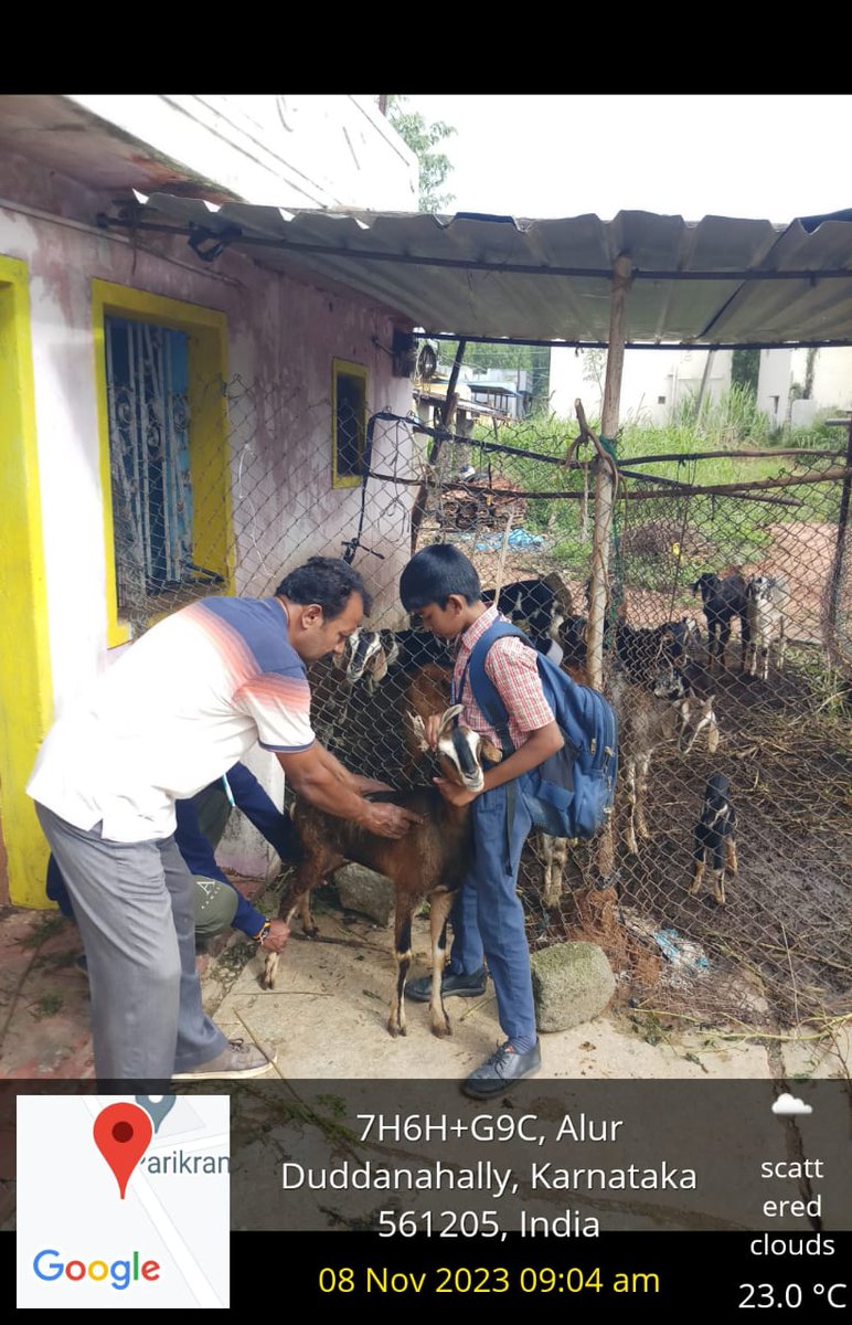 AHVS_Karnataka's tweet photo. ದಿನಾಂಕ: 08-11-2023 ರಂದು ಬೆಂಗಳೂರು ಗ್ರಾಮಾಂತರ ಜಿಲ್ಲೆಯ ವಿವಿಧ ಗ್ರಾಮಗಳಲ್ಲಿ ಕುರಿ ಮತ್ತು ಮೇಕೆಗಳಿಗೆ ಪಿ.ಪಿ.ಆರ್ ಲಸಿಕೆ ಕಾರ್ಯಕ್ರಮವನ್ನು ಡಾ.ಜಗದೀಶ್ ಕುಮಾರ್, ಉಪನಿರ್ದೇಶಕರು(ಆಡಳಿತ) ರವರ ನೇತೃತ್ವದಲ್ಲಿ ಹಮ್ಮಿಕೊಳ್ಳಲಾಯಿತು.
#Bengalururural #PPRVaccination https://t.co/alWNqxXGWU