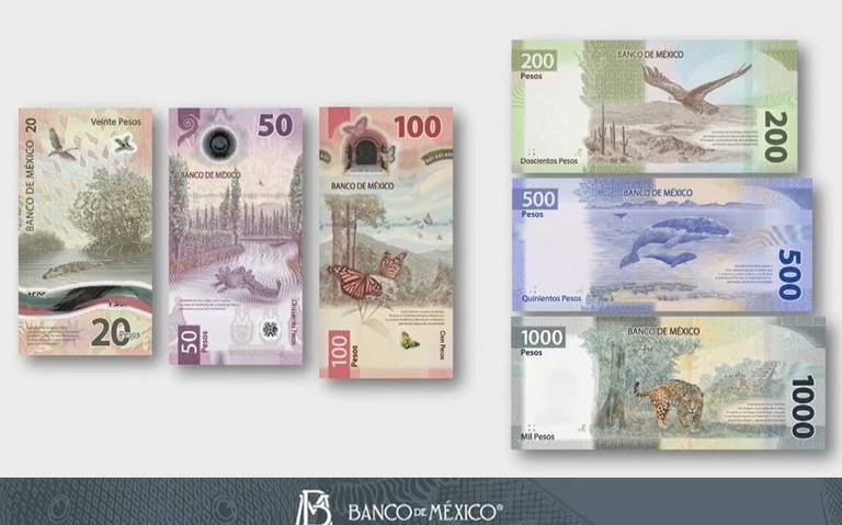 メキシコペソ紙幣8セット メキシコの通貨｜在日メキシコ大使館