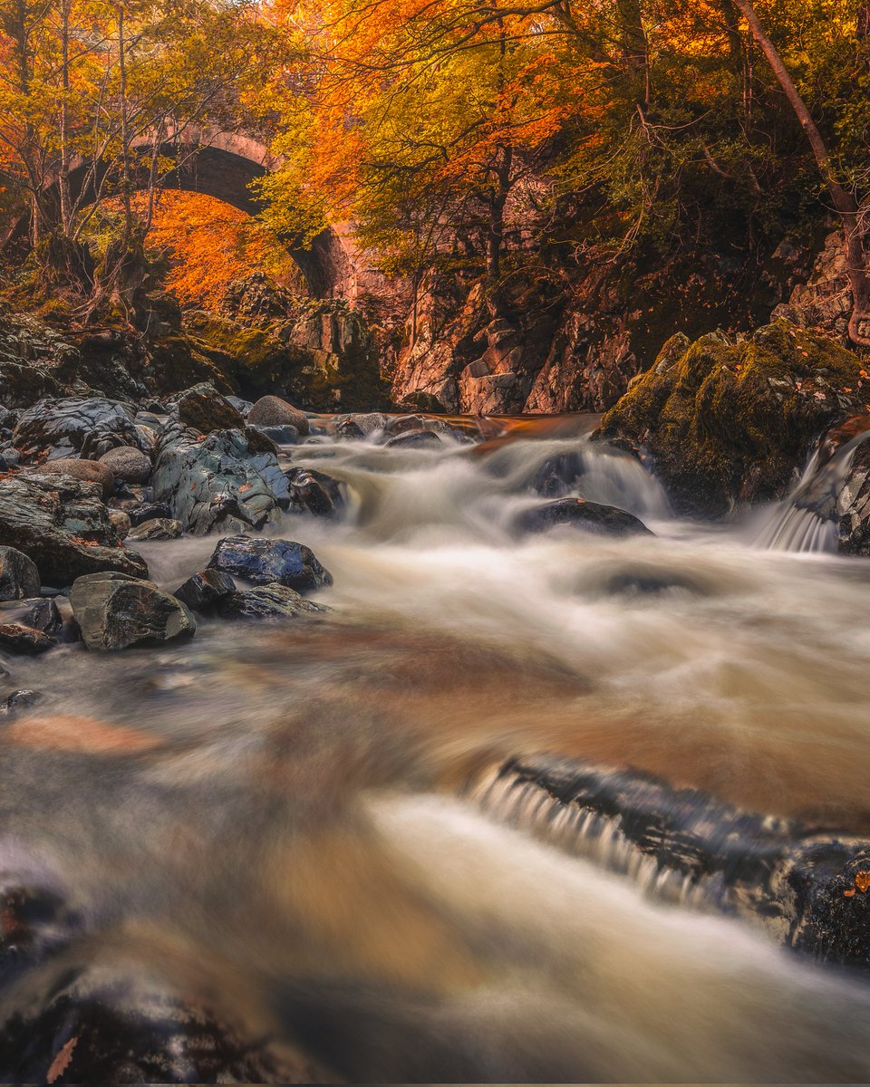 DeclanMalachy's tweet photo. Autumn captured at Tollymore Forest, it's currently raining leaves #Autumn #tollymore #NorthernIreland @the_full_irish_ https://t.co/6squCGLq8E