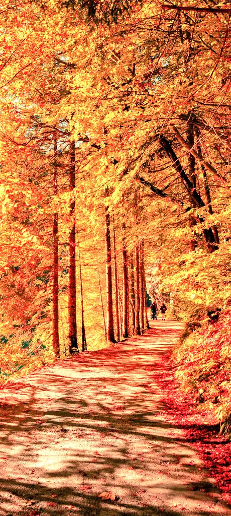 BulentDemircin's tweet photo. Bir gemi tek çıpayla(çapa-çipo) açılmamalı; hayat da tek bir umutla yürümemeli! (Sofokles)
Günaydın, iyi sabahlar...🌅☀️🌴
#8Kasım #çarşamba #özlüsöz #vecize #sanat #edebiyat #şiir #tragedya #resim #müzik #bilim #felsefe #din #mimari #sonbahar #güz #hazan #yaşam #insan https://t.co/5ktWpnhKpd