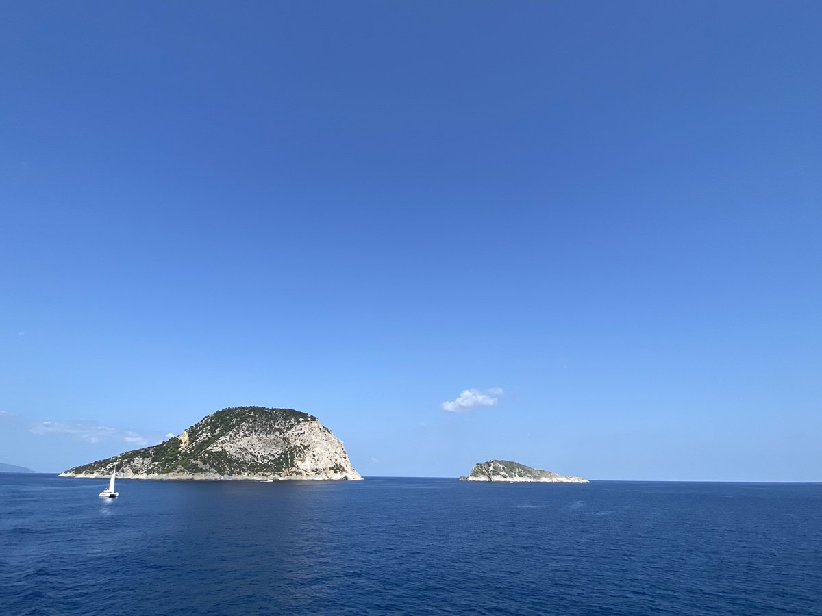 Aaaah, das #Mittelmeer: Es ist sooo schön. Von oben. Aber wollt ihr mal unter die Oberfläche schauen? „So etwas habe ich noch nie gesehen“, berichtet der spanische Meeresbiologe <a href="/JGarrabou/">Joaquim Garrabou (mostly trying to be at the sea)</a> über Tauchgänge in diesem Hitzejahr, „bis in 30 Meter Tiefe war alles tot, komplett tot.“