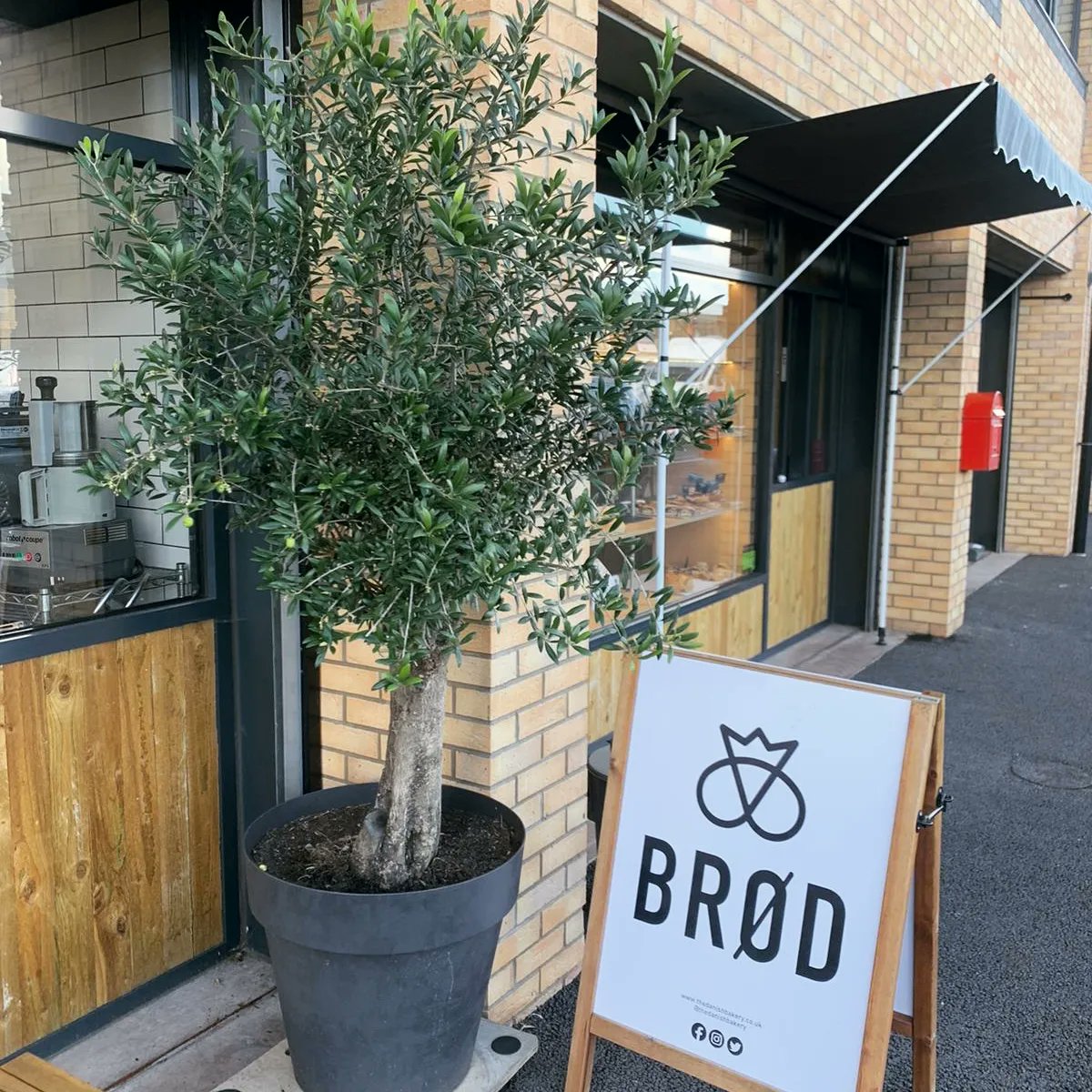 ✨️The Hatch ✨️
The first of our bakeries to open each morning, with plenty of loaves, pastries and hot drinks ready for takeaway 🍞

Located just off Newport Rd in Cardiff (CF23 9FP), this is the perfect place to grab and go - with plenty of parking and a bench area too 🫒