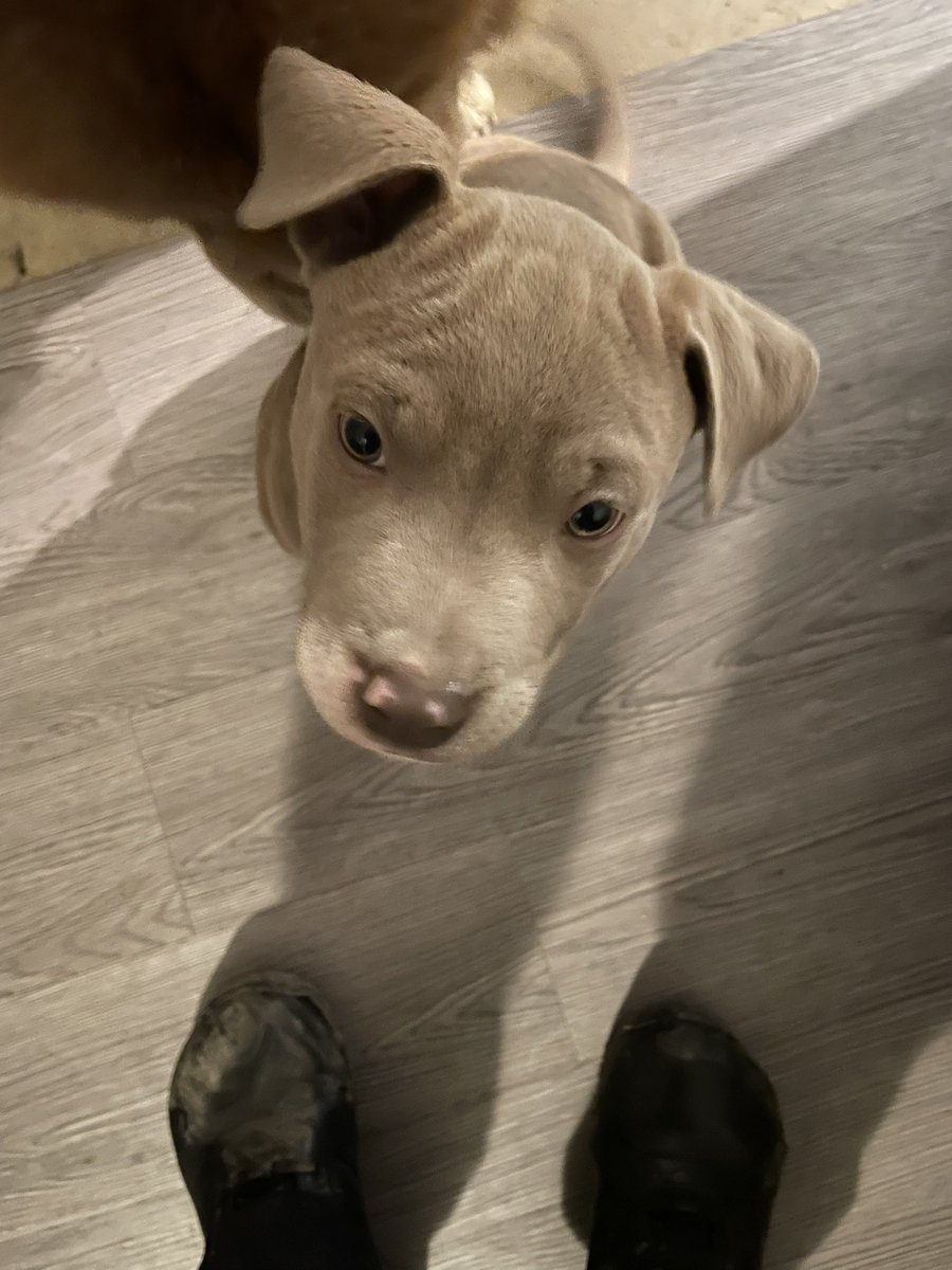 PCDA Cakes tweet media