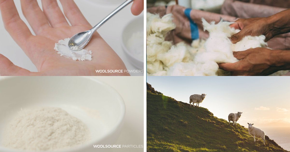 Wool Source logra el certificado #C2C Material Health Certificate® con 2 productos hechos con fibra de lana de oveja para cosméticos. Desde EIG les hemos ayudado en la identificación de componentes compatibles con los más altos niveles del estándar C2C® c2ccertified.org/certified-prod…