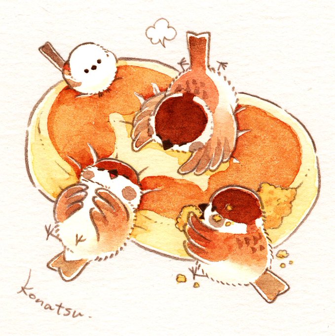 「chicken food focus」 illustration images(Popular)