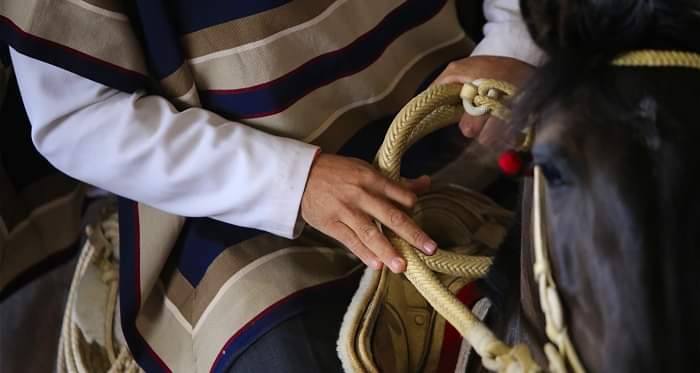 cbarriaz's tweet photo. Hay conceptos de respeto dignos de copia.
Huyuyyyy 🇨🇱
#Huasos #Tradiciones #Rutal #campo #Chile https://t.co/ZF6k2MesLf
