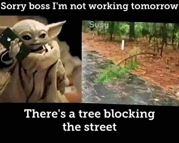 NuseAbel's tweet image. #lazyworkers