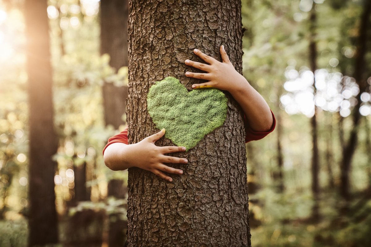 VITO_RS_'s tweet photo. In our #remotesensing newsletter this month:
🌲 Towards EU forest structure maps with #ForestPaths 👉https://t.co/UvCZw7xODk
🌊 How #WasteWatchers enables citizens to map litter with #drones & #AI 👉https://t.co/OUENFQm2hb
Missed it? Subscribe via ⤵️
https://t.co/S2t7AYiihi https://t.co/snjuAh024J
