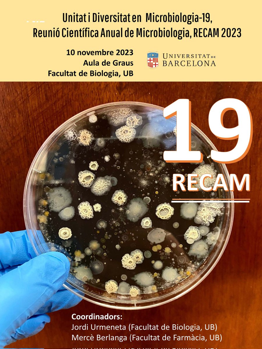 MicrobiologiaBioUB tweet media