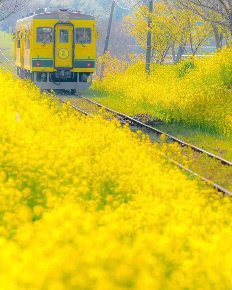 Giang tweet media