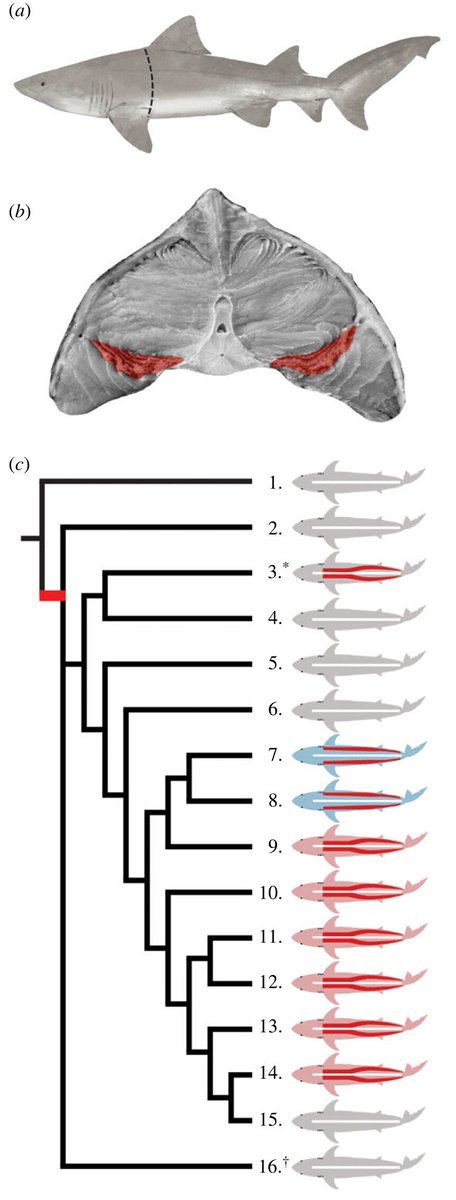 Nicholas Payne tweet media